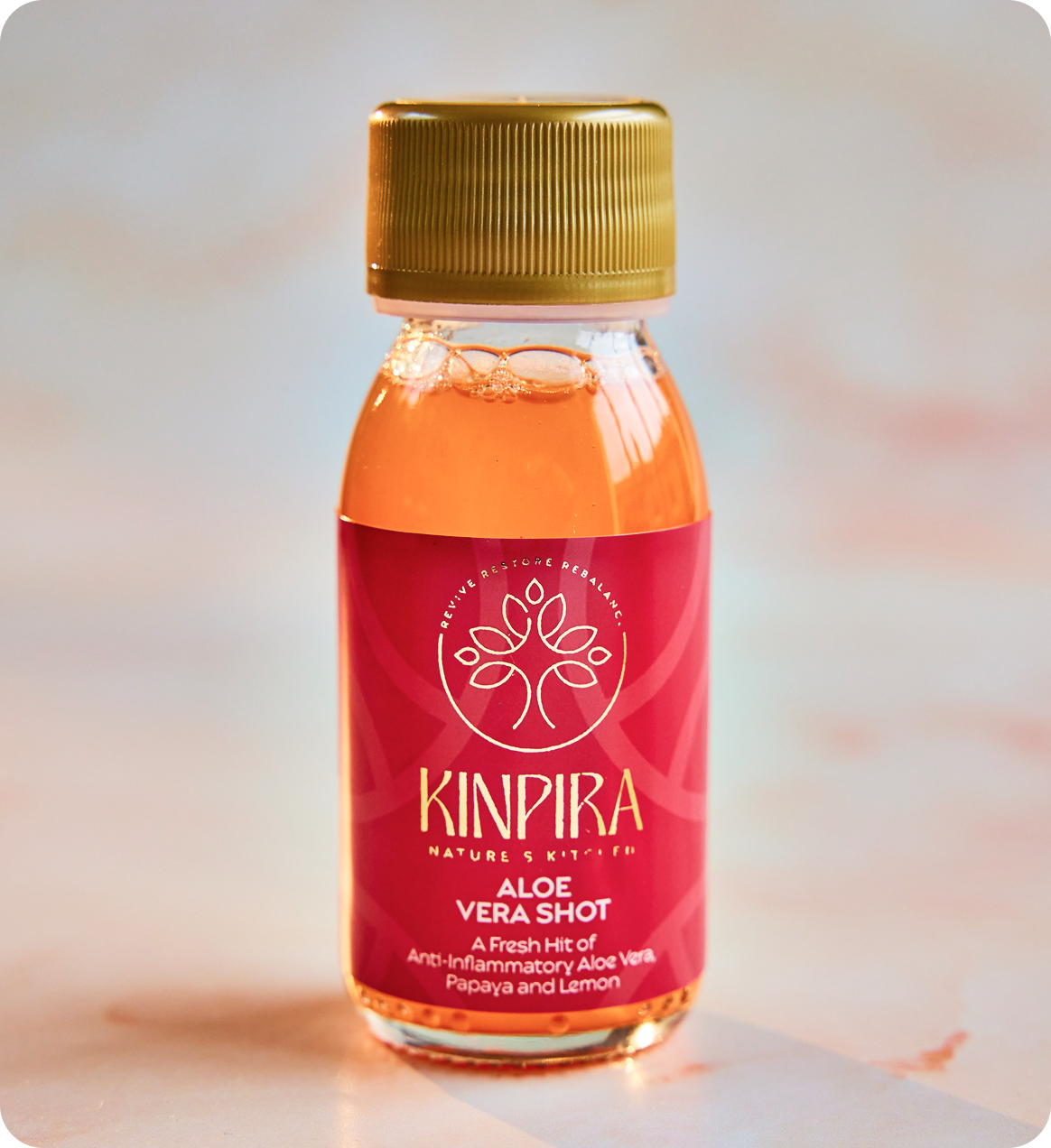 Aloe Vera Shot – Kinpira
