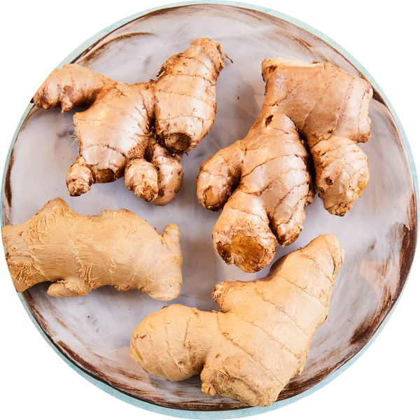 Ginger