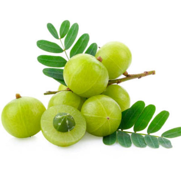 Amla (Indian Gooseberry)